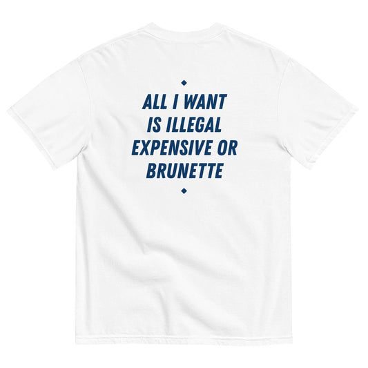 HypeHoodies™ - ALL I WANT IS ILLEGAL, EXPENSIVE OR BRUNETTE