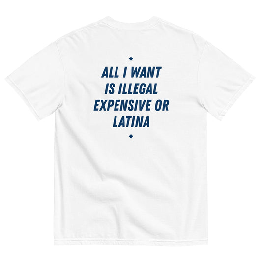 HypeHoodies™ - ALL I WANT IS ILLEGAL, EXPENSIVE OR LATINA